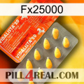 Fx25000 new01